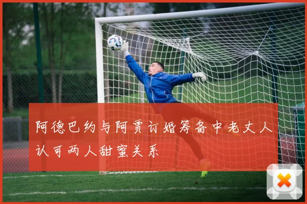 阿德巴约与阿贾订婚筹备中老丈人认可两人甜蜜关系